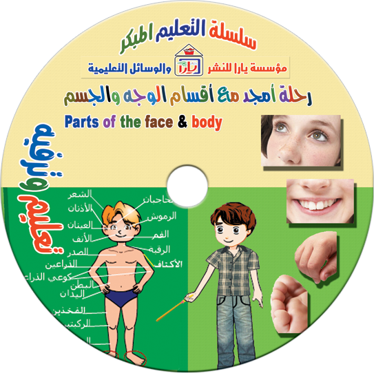 Face-and-Body-Sections